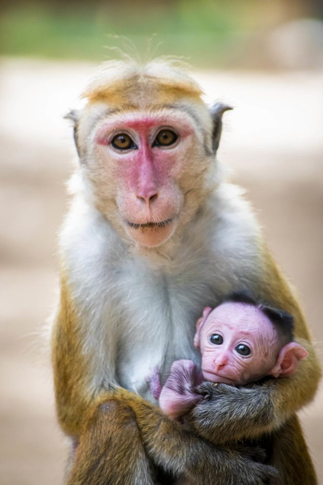 Photograph by Mewan Hemsara