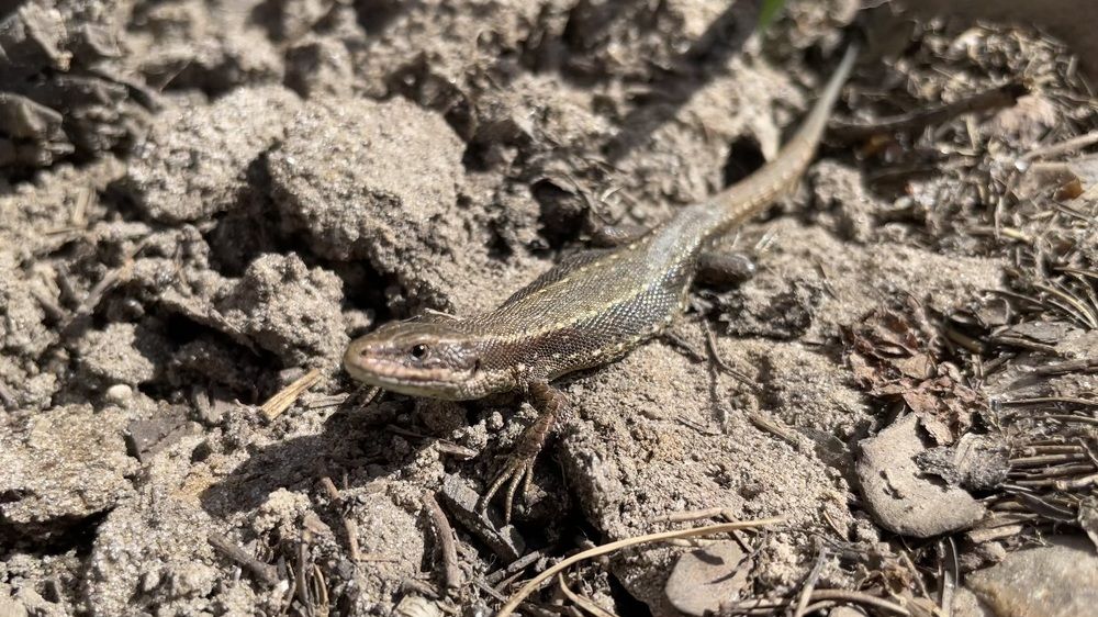 Photograph by Елизавета Большакова