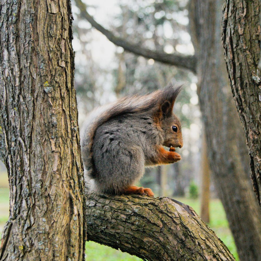 Photograph by Юлия