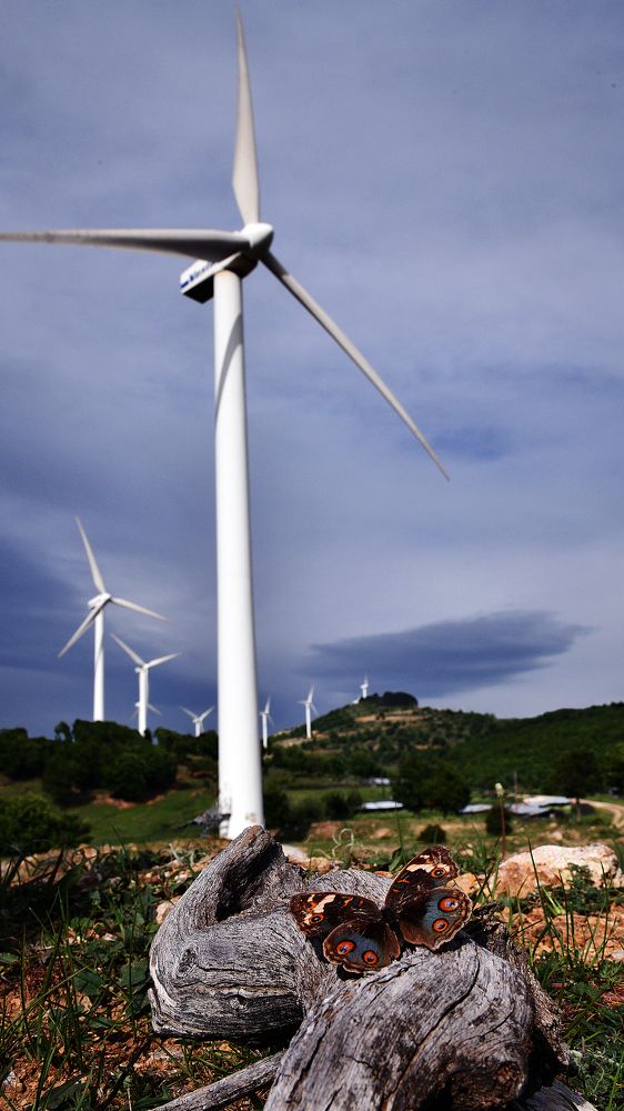 Photograph by Mihalis Konstantinidis