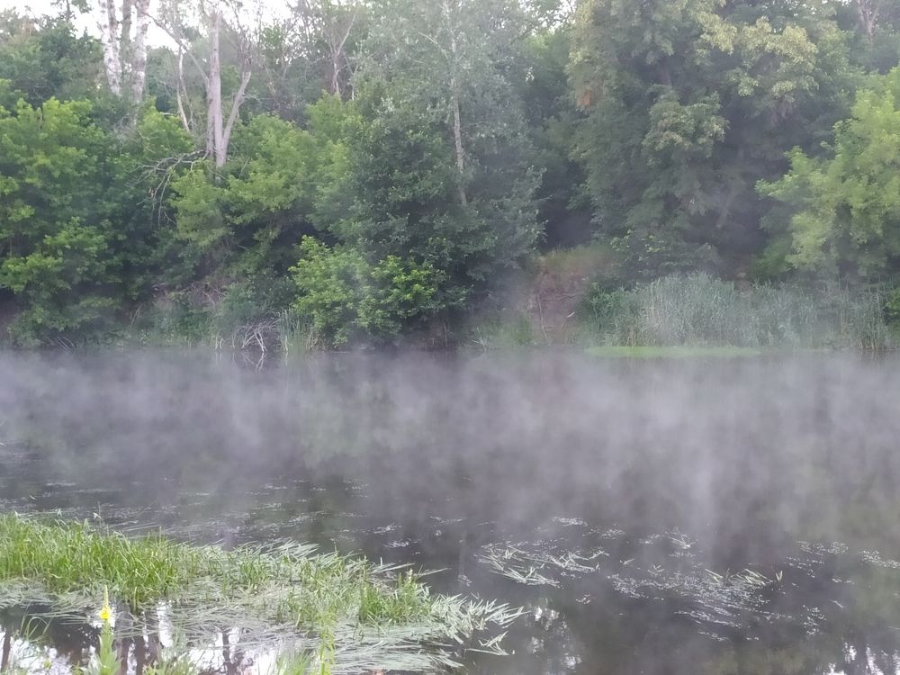 Photograph by Анна Пилипенко