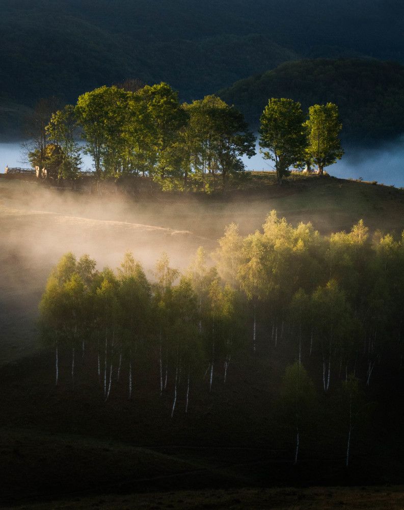 Photograph by Ana-Maria Tatarus