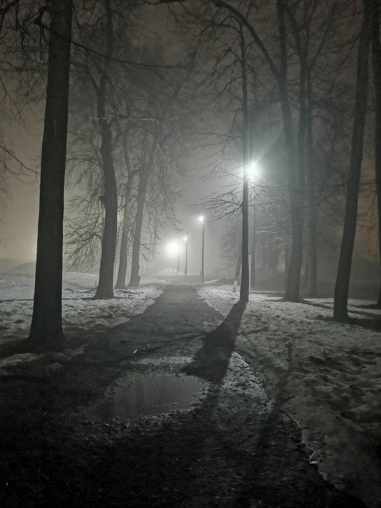 Photograph by Светлана Муравьева