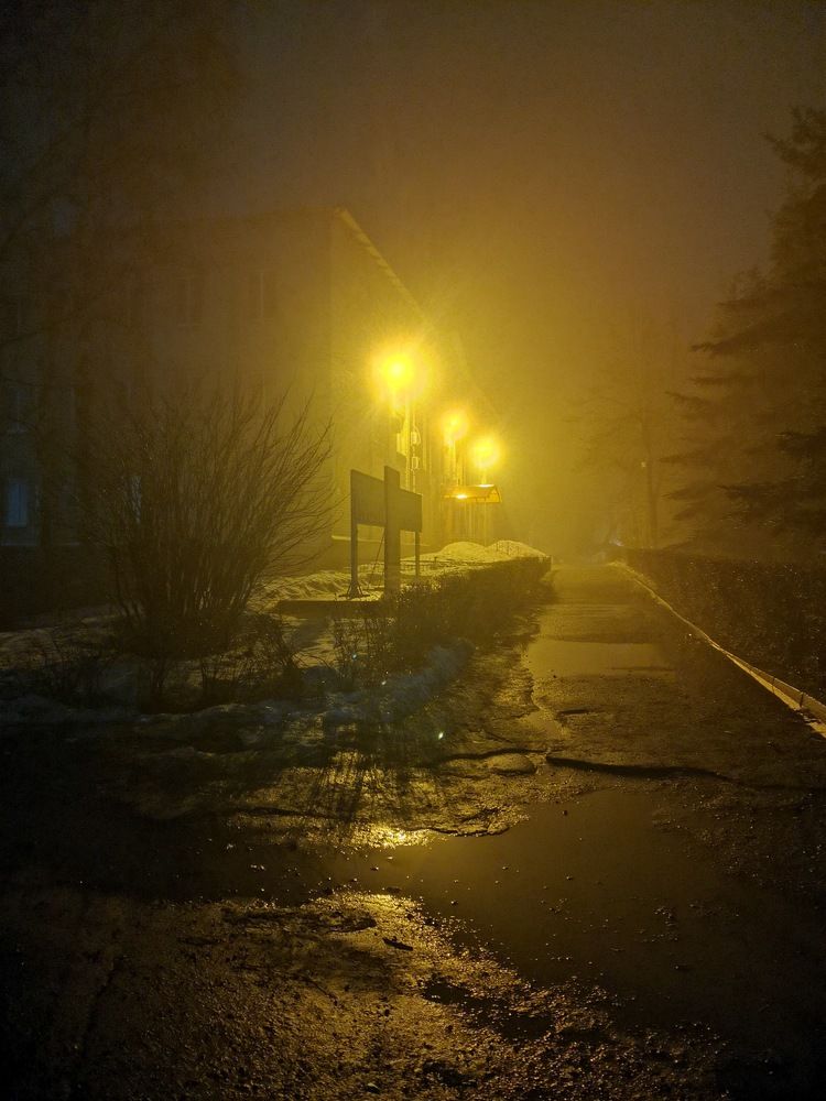 Photograph by Светлана Муравьева