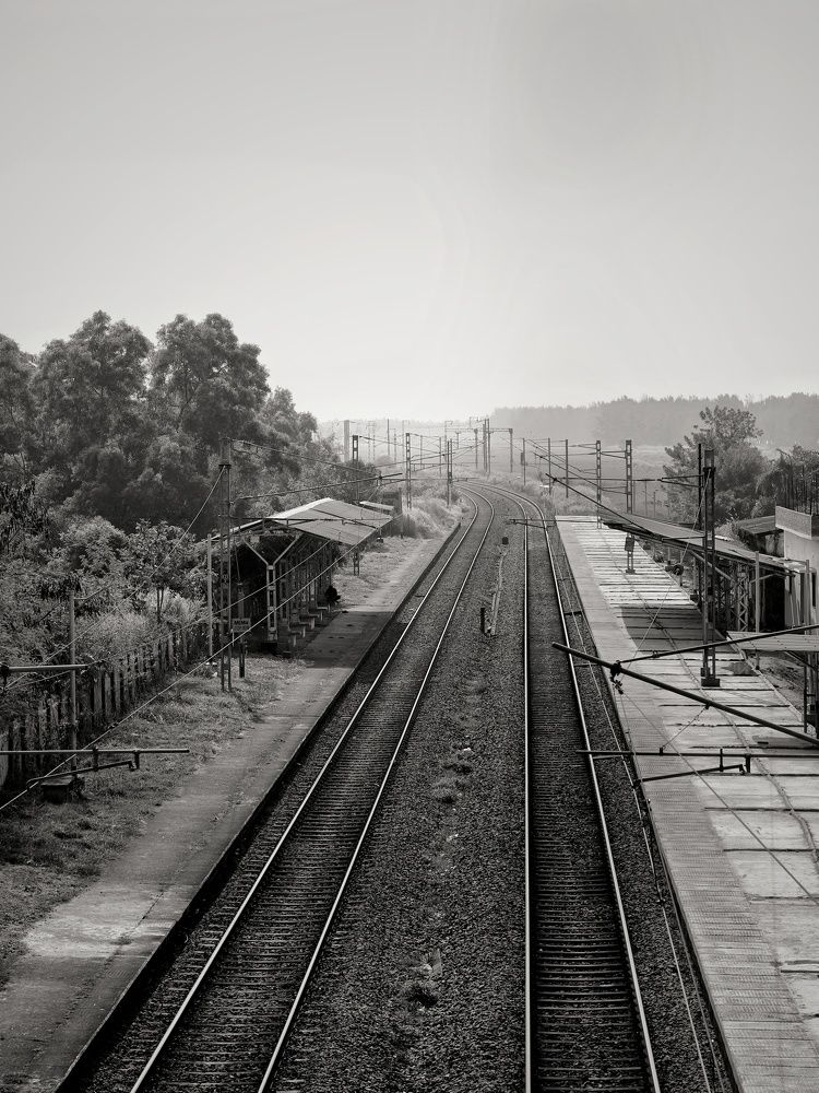 Photograph by Vignesh P Hegde