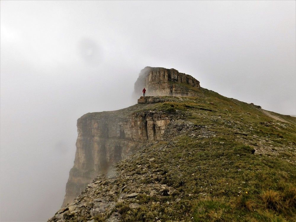 Photograph by Чкареули Светлана