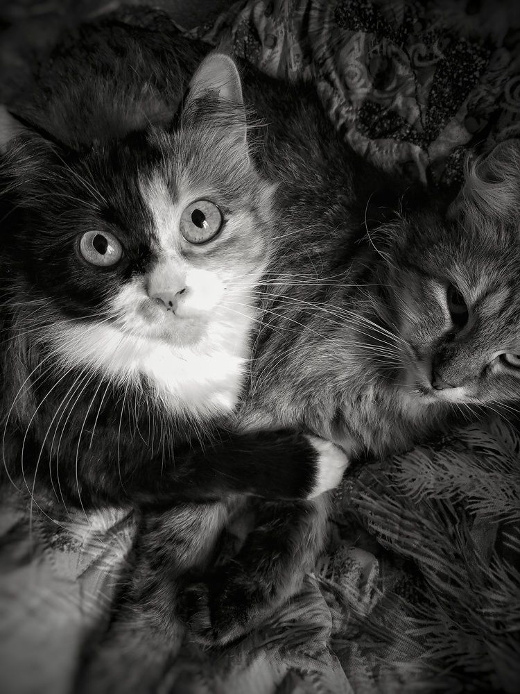 Photograph by Станислава