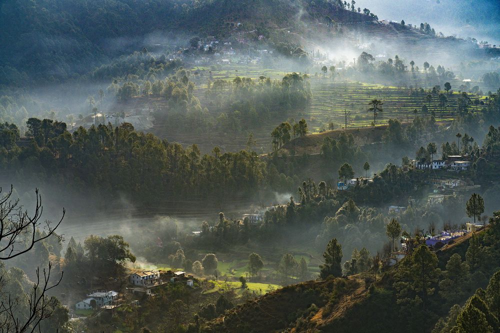 Фотография автора GURDAS DUA