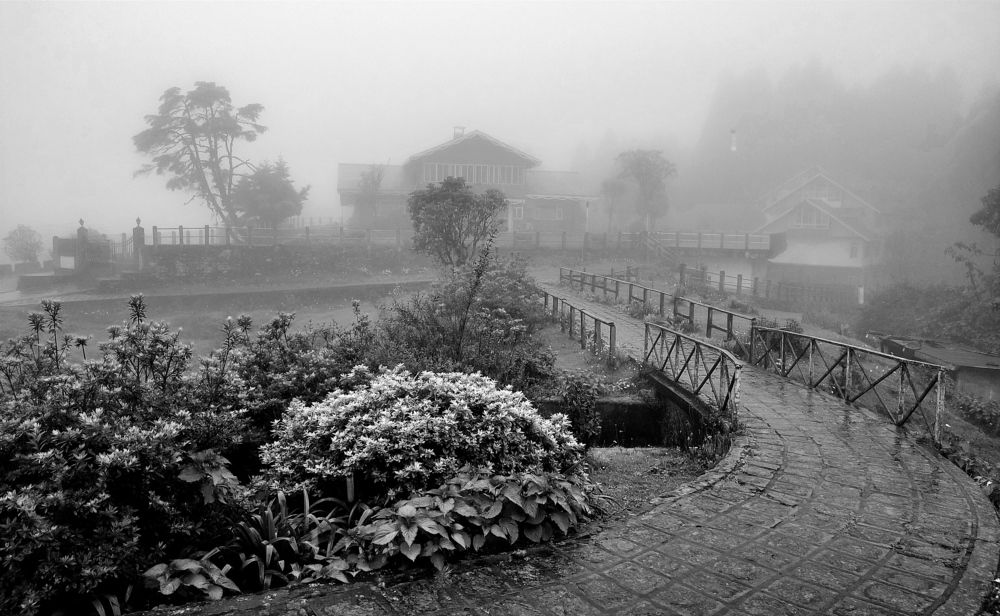 Photograph by ACHINTYA DAN
