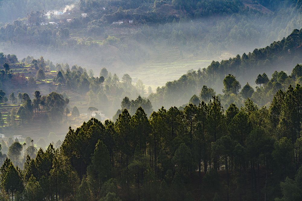 Фотография автора GURDAS DUA