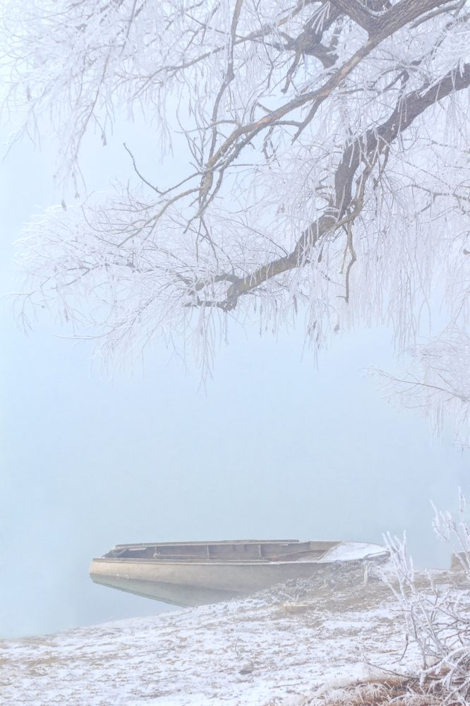 Фотография автора Галина Шепелева