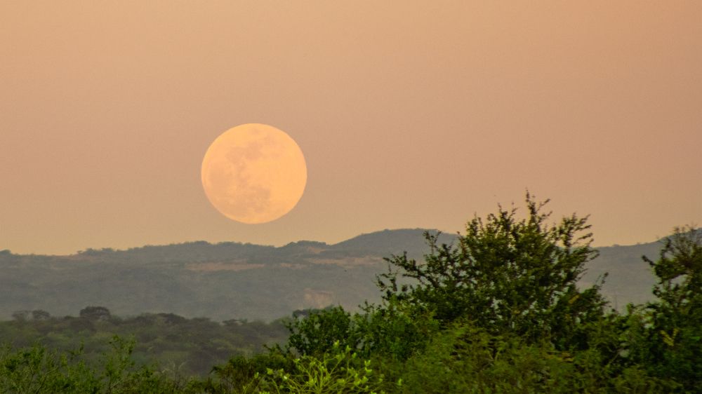 Photograph by Jaime Trejo