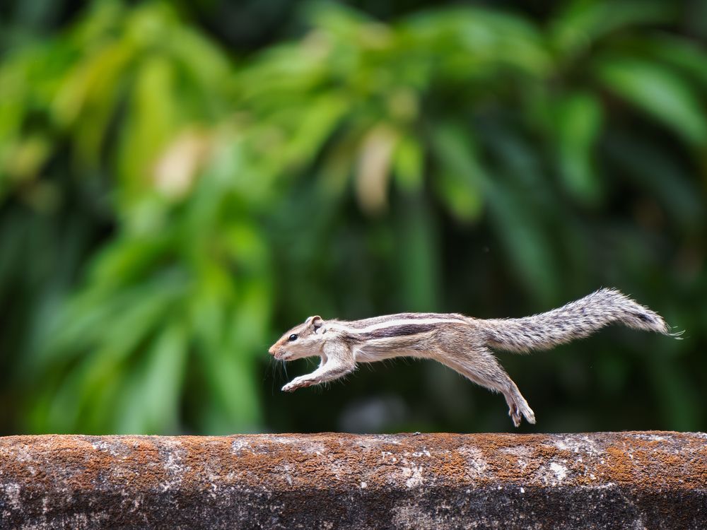 Photograph by PassionFoto by Sukhen Bandyopadhyay