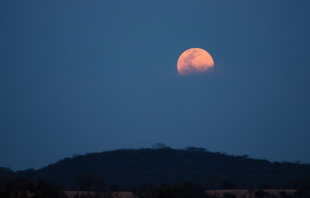 Photograph by Jaime Trejo