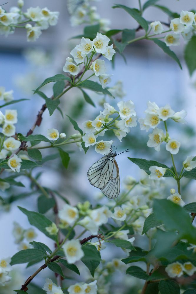 Photograph by Полина Ефимова