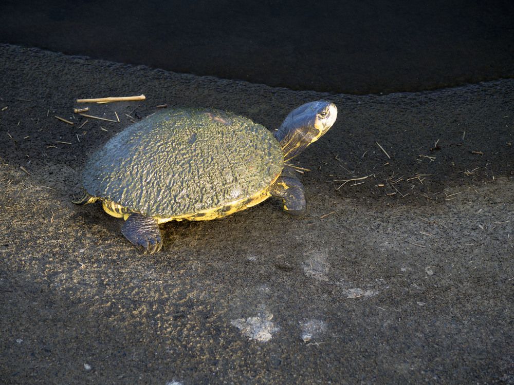 Photograph by Israel Pacheco