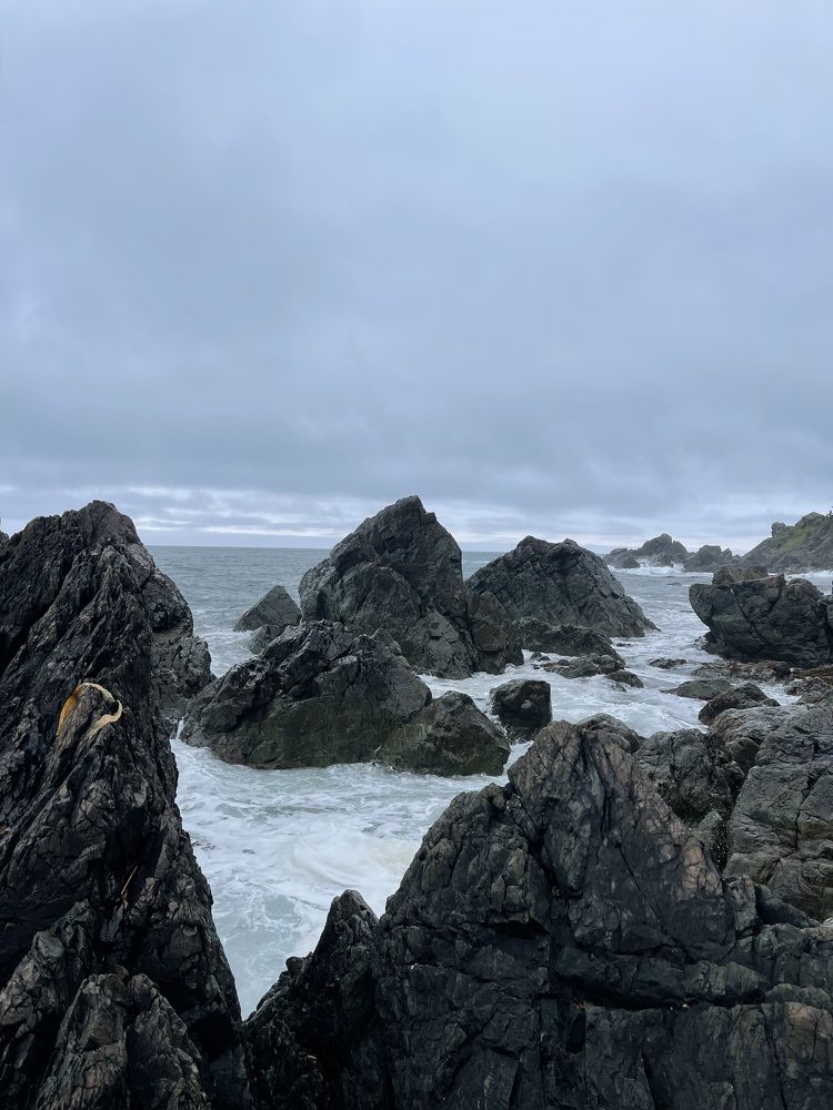 Photograph by Надежда Донская