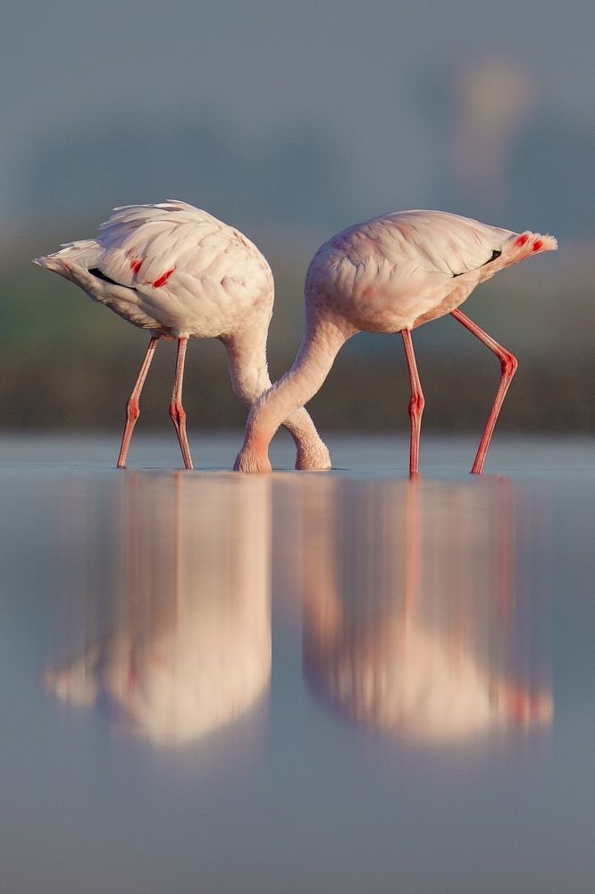 Photograph by Jayavignesh Hariharan