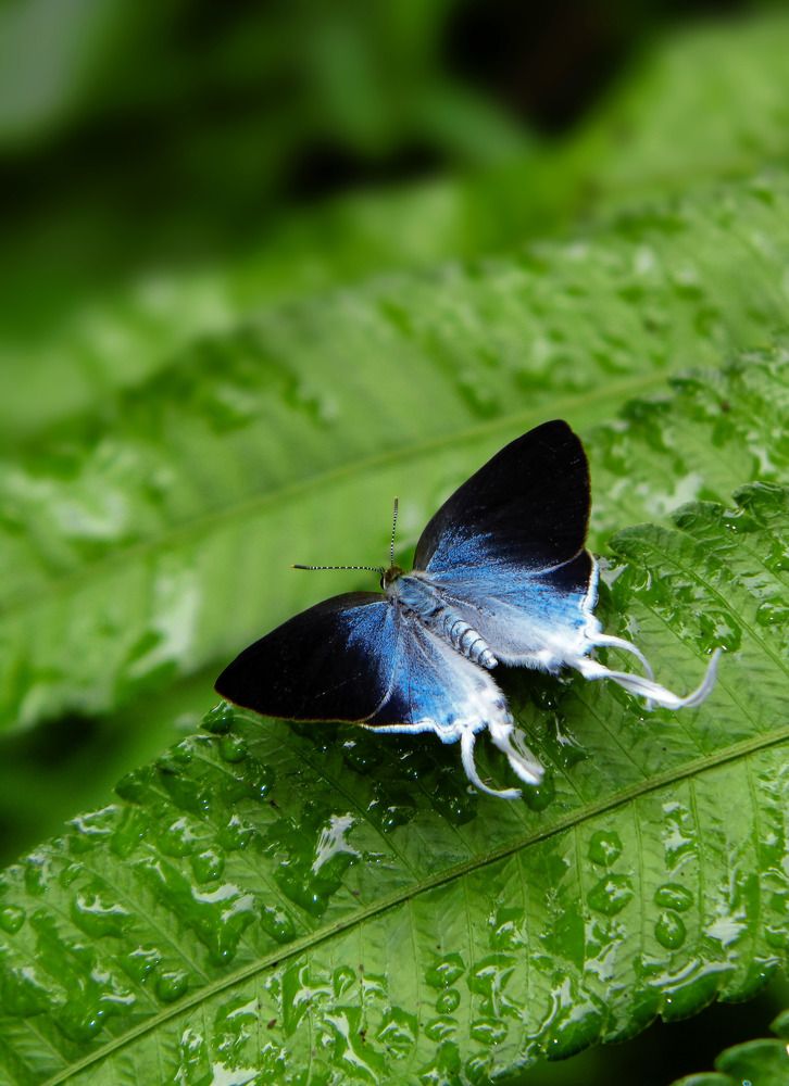 Photograph by Dibyajyoti Nath