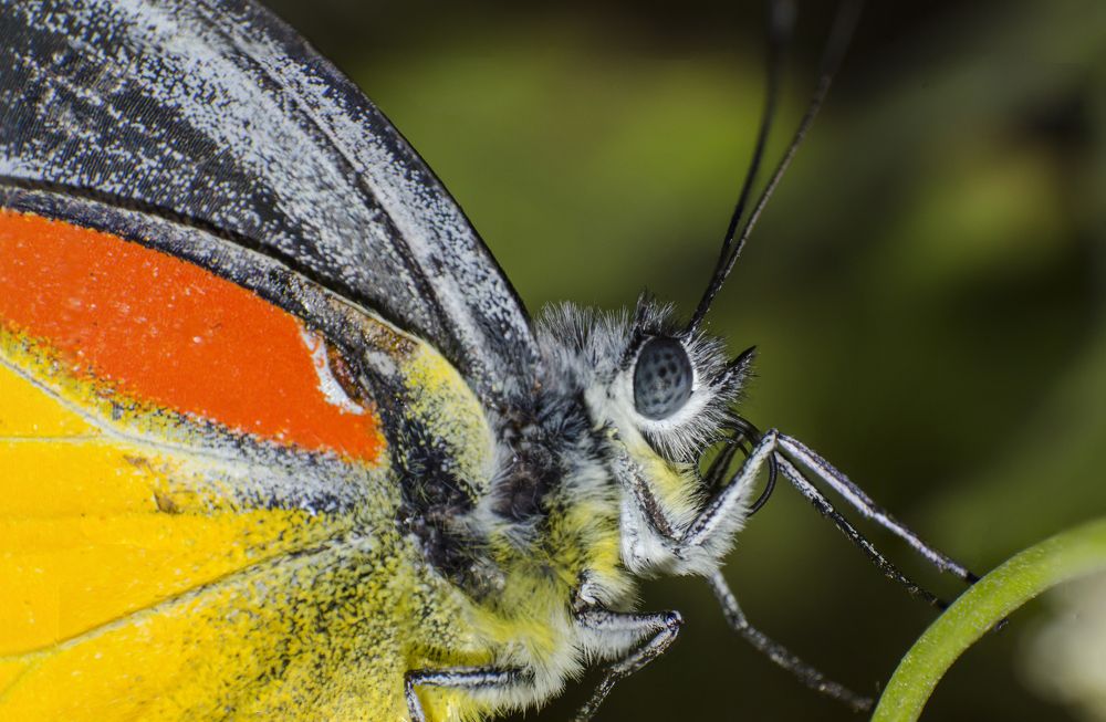 Photograph by Dibyajyoti Nath