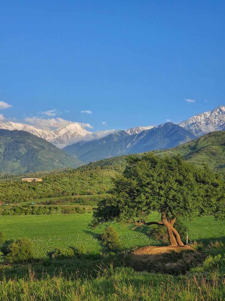 Горный пейзаж