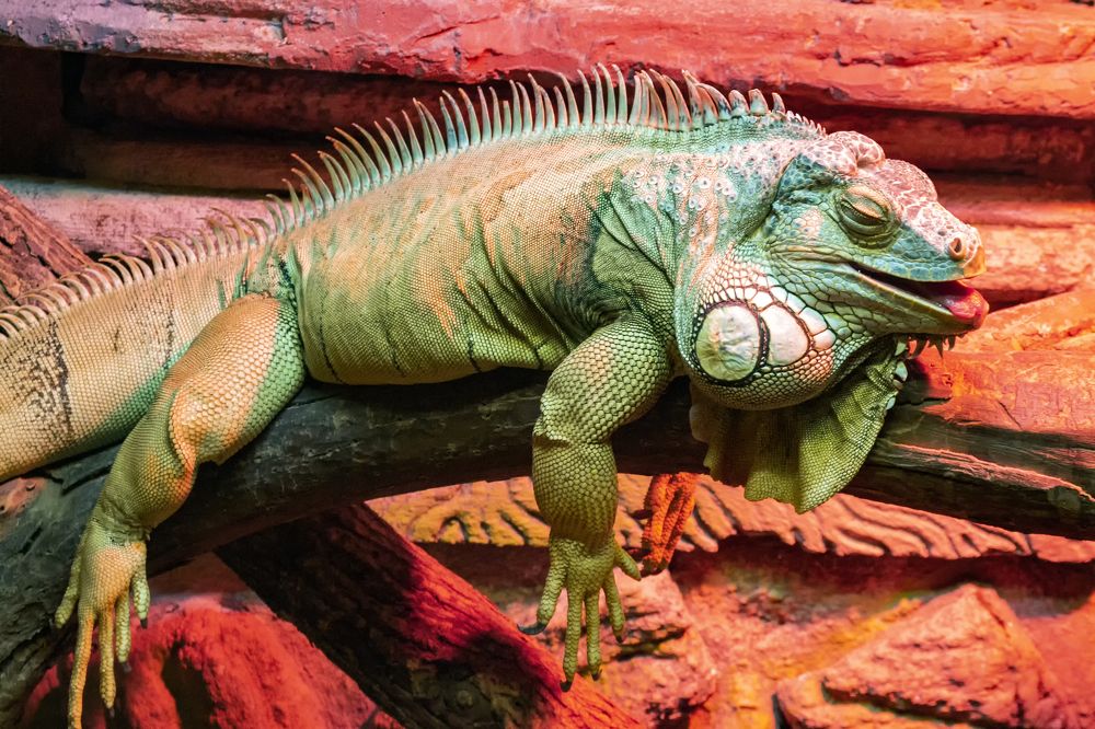 Photograph by Сергей Феофанов