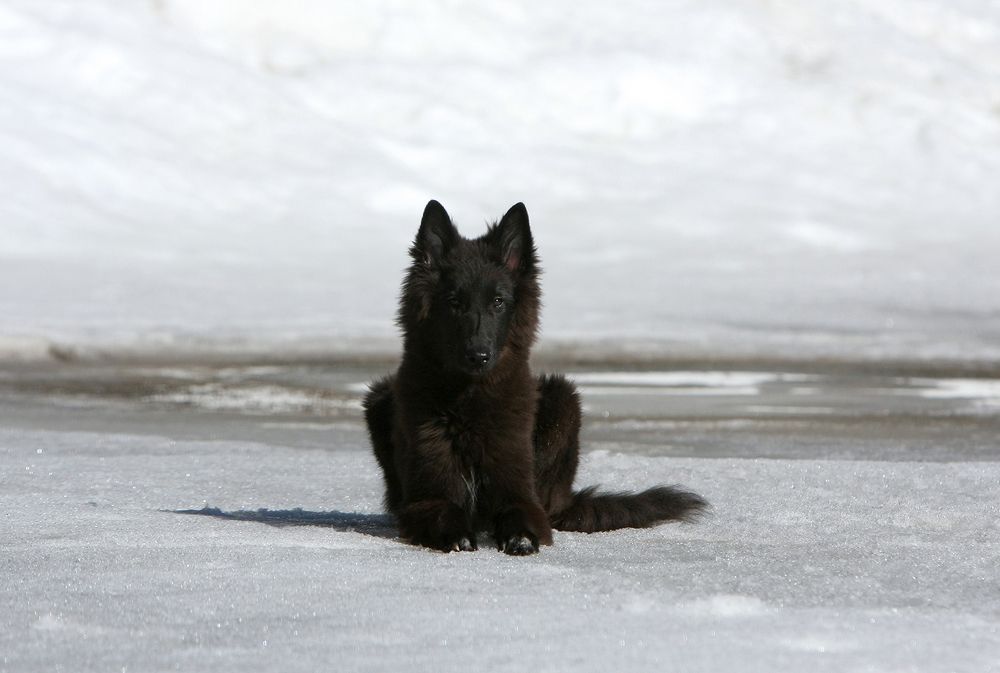 Фотография автора Надежда Лисицына