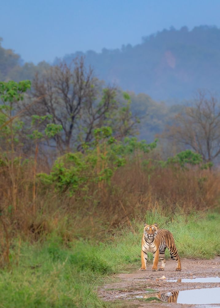 Photograph by USAIDUDDIN QUAZI