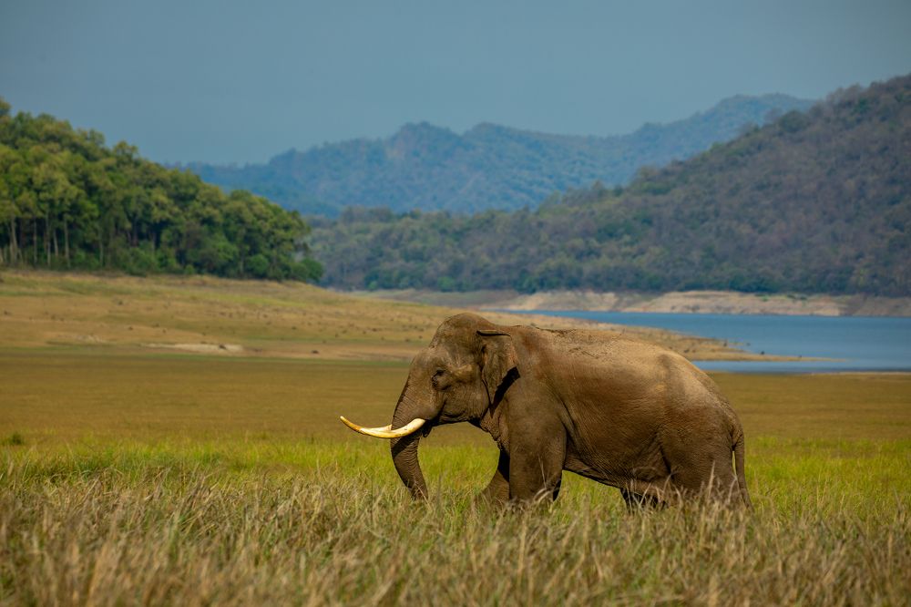 Photograph by USAIDUDDIN QUAZI