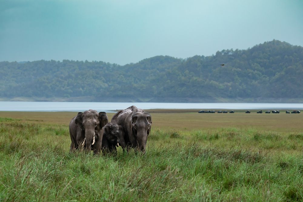 Photograph by USAIDUDDIN QUAZI