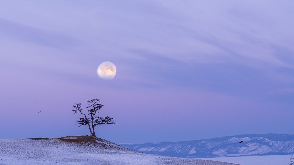 Photograph by Михаил