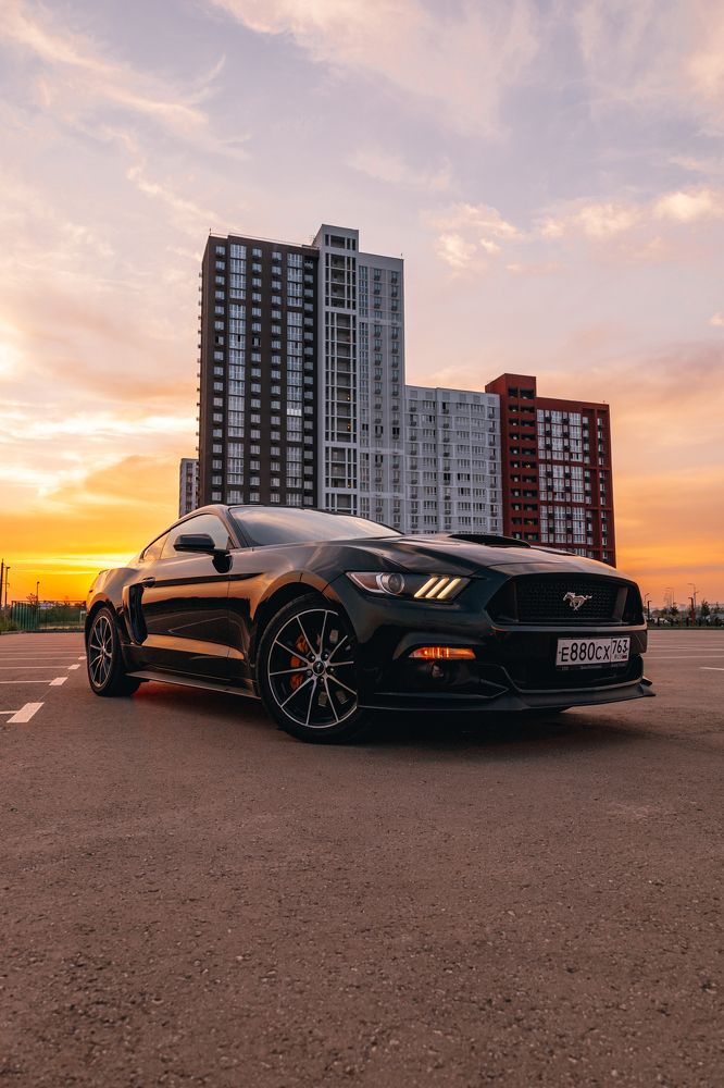 Photograph by Марина Скворцова