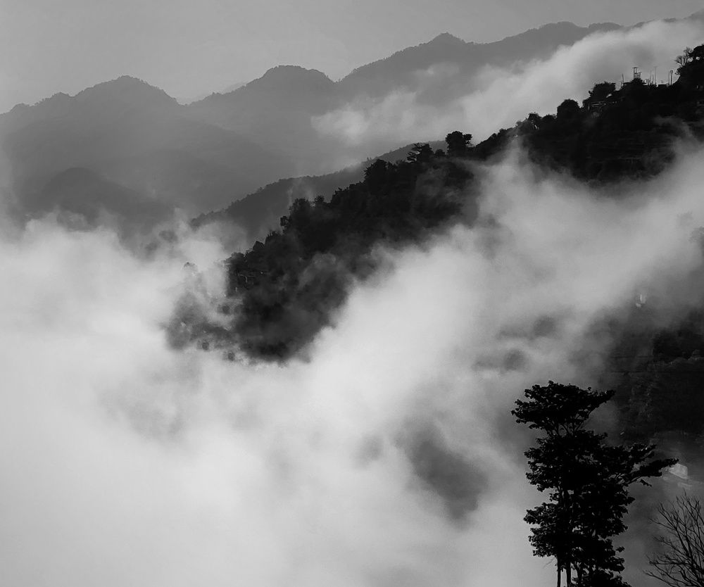 Photograph by Kumar Gond Shashank