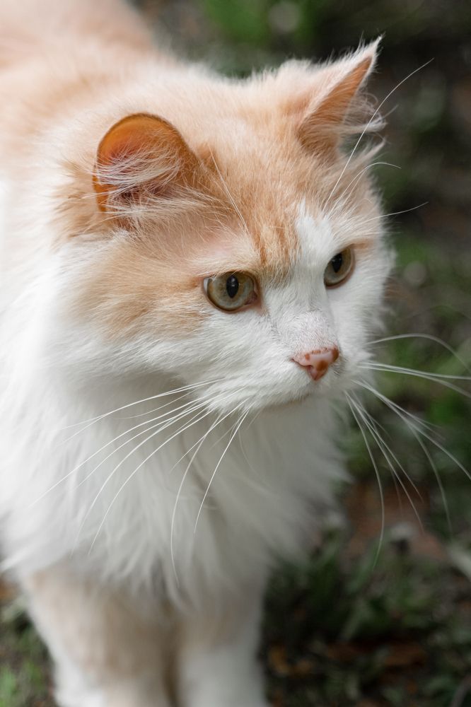 Photograph by Михаил Костыря