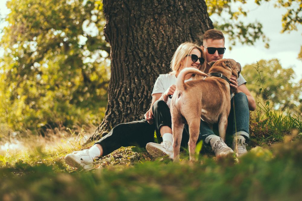 Photograph by Елена