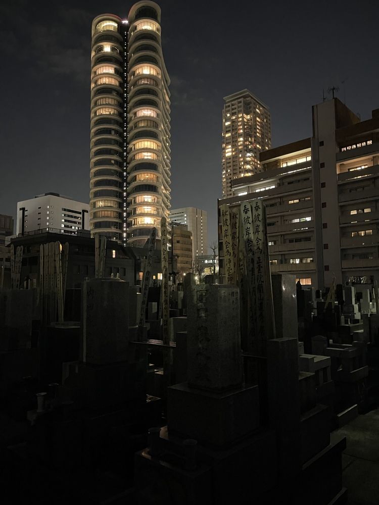 Photograph by Dmitrii