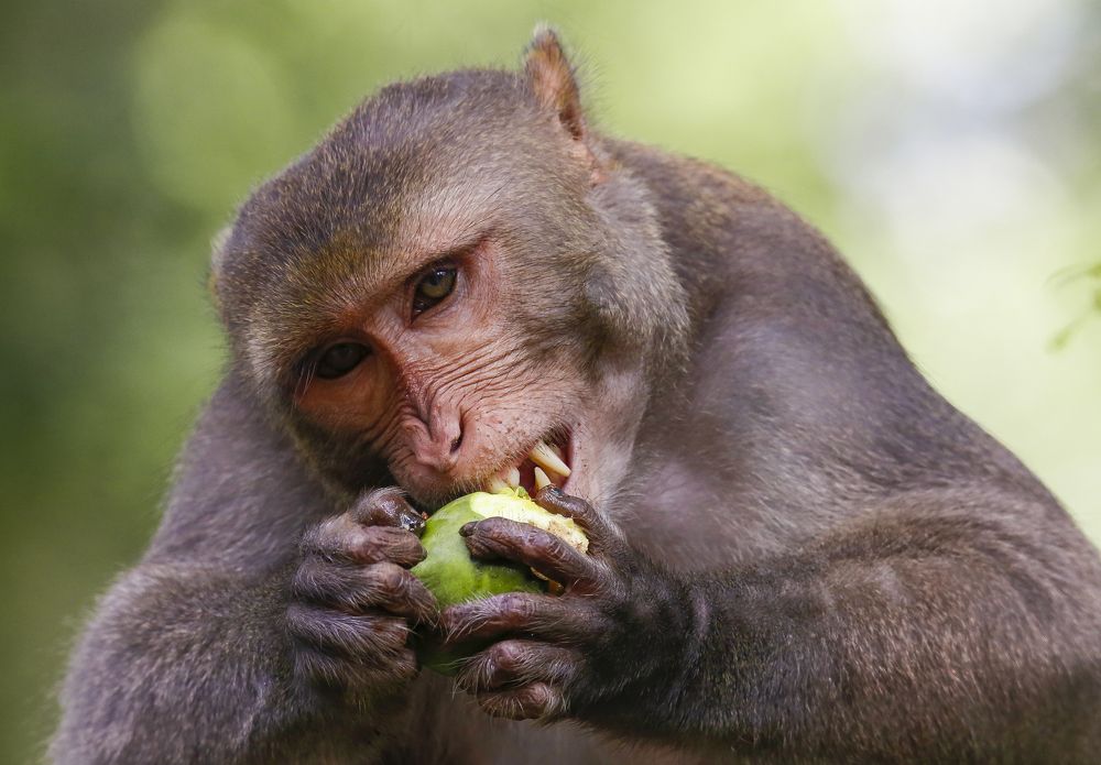 Photograph by Mirza Md moon ridoy