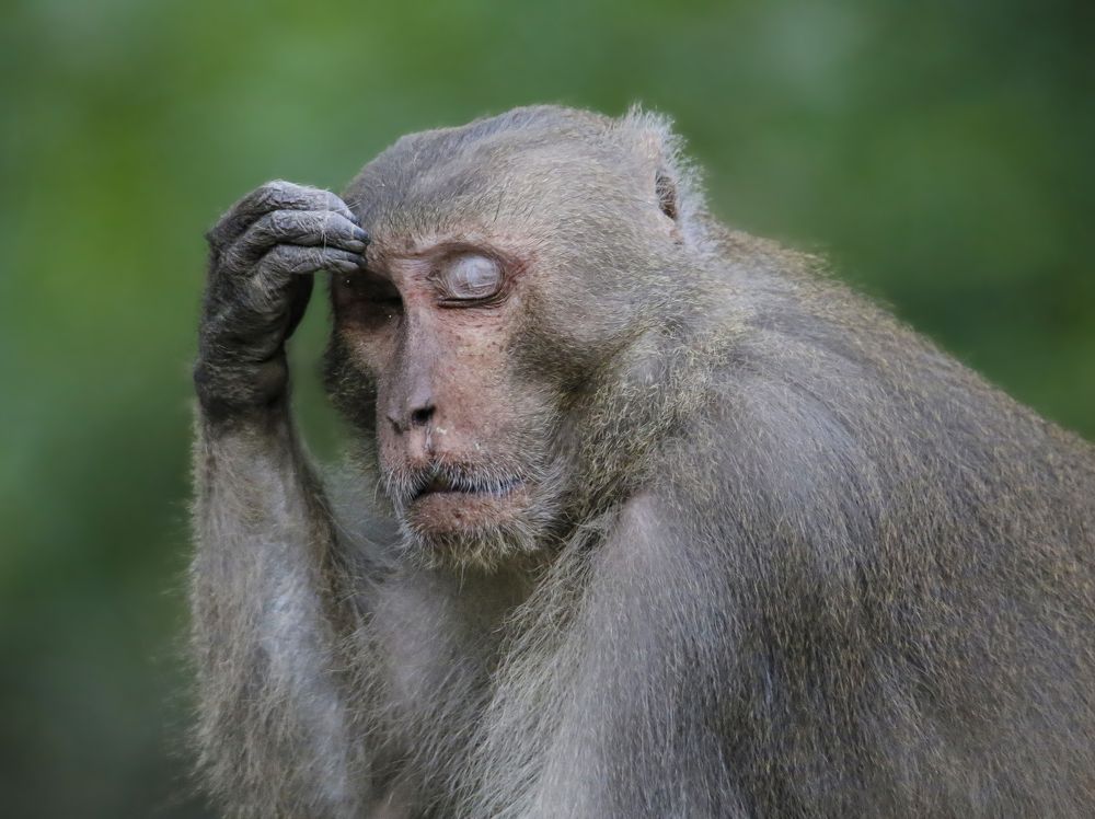 Photograph by Mirza Md moon ridoy