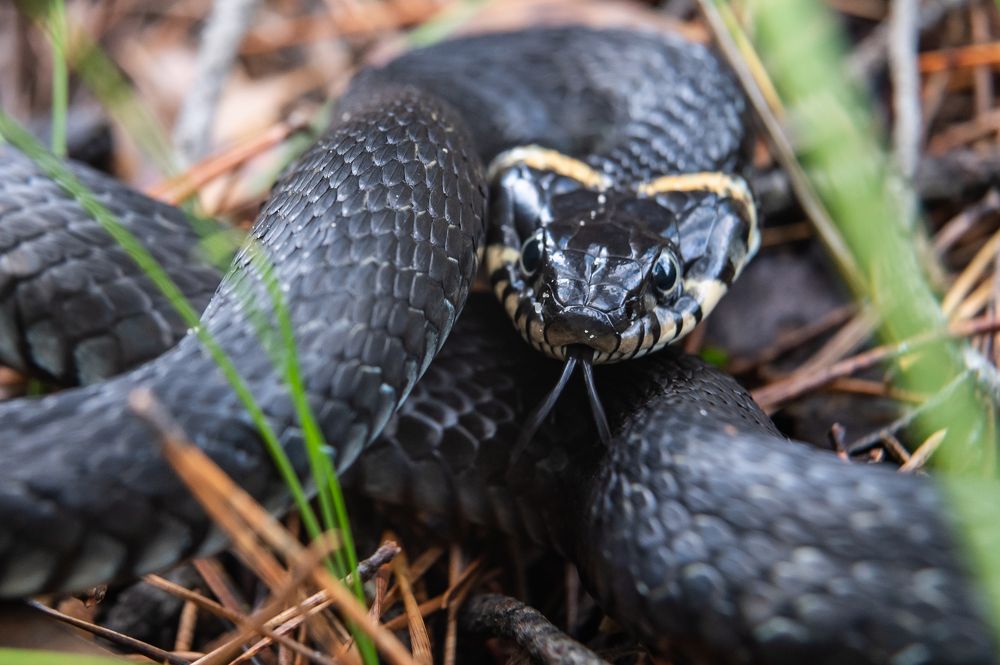 Photograph by Александр Щербаков