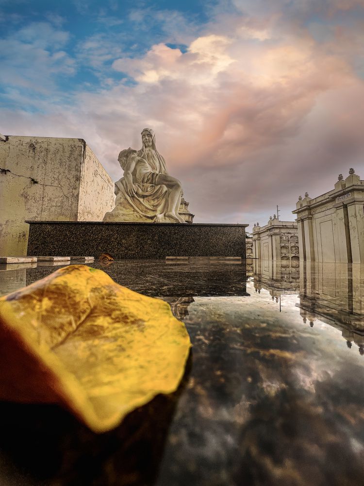 Photograph by francisco caicedo