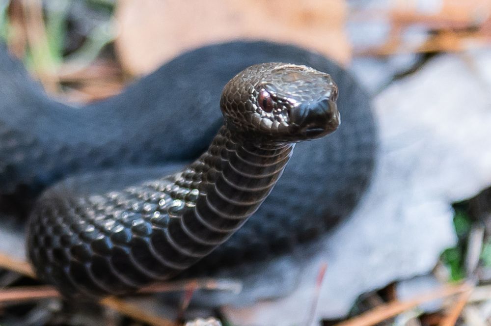 Photograph by Александр Щербаков