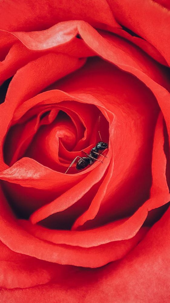 Photograph by Артём Лиханов