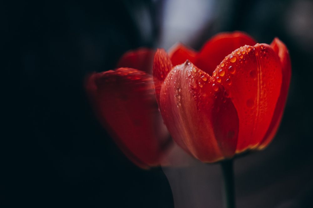 Photograph by Татьяна Куликова