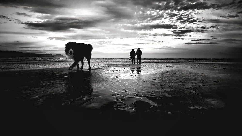 Photograph by JORGE HORACIO FERNANDEZ