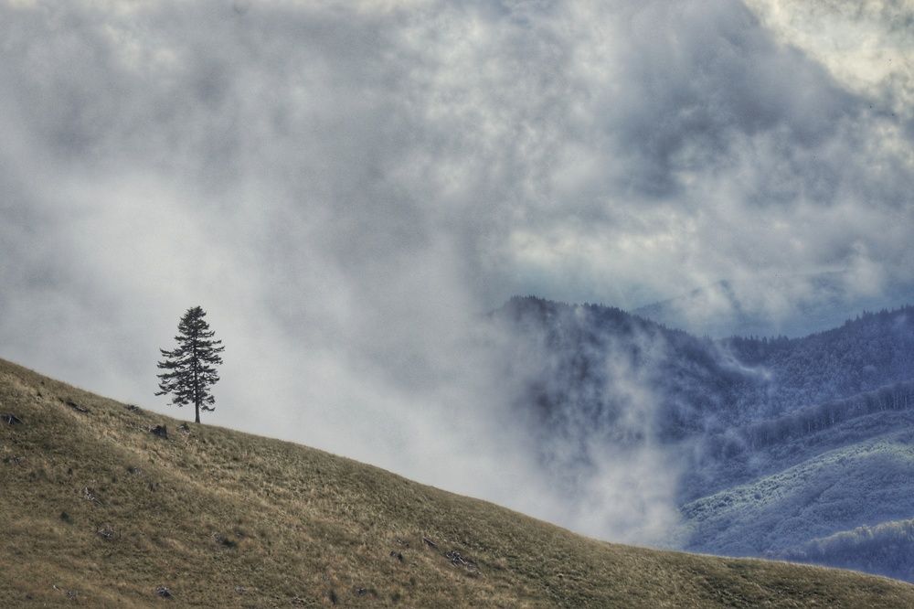 Photograph by Muntean Radu