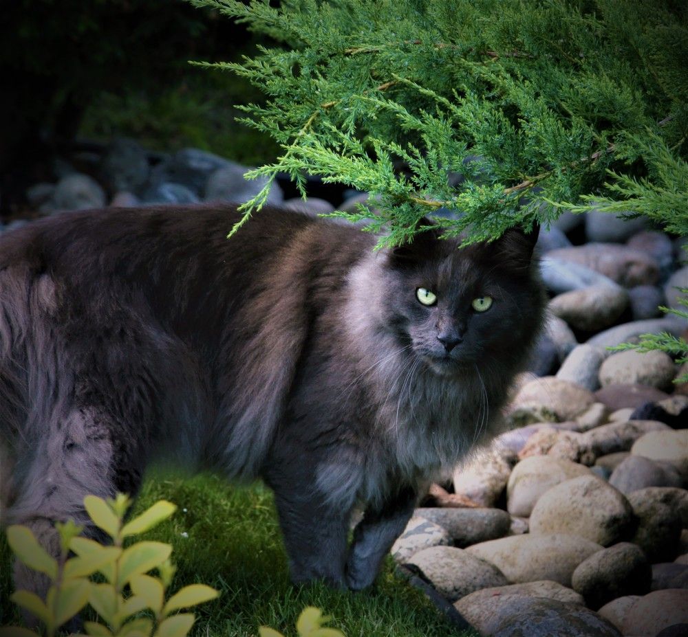 Photograph by Игорь Куленко