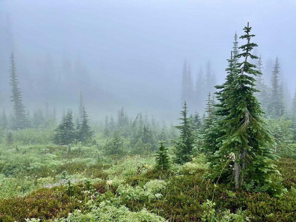 Photograph by Микова Юлия