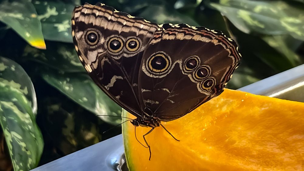 Photograph by Can O. Gunay