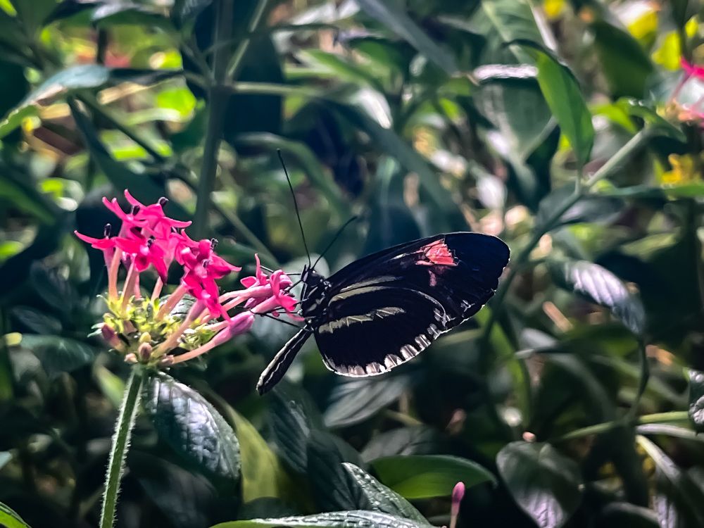 Photograph by Can O. Gunay