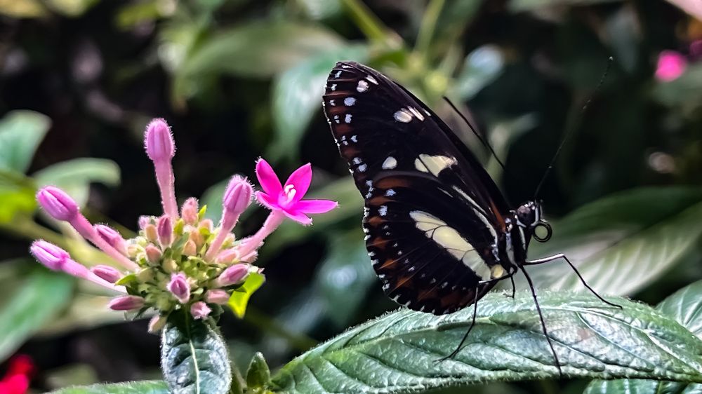 Photograph by Can O. Gunay